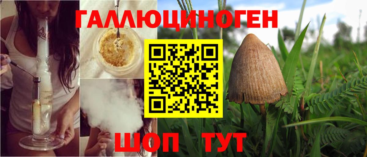 Сердобск  Псилоцибиновые грибы Psilocybe  Вход с VPN 
